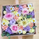 힐링 플라워테라피 | 유치원 교사연수 플라워테라피 [번아웃 정서지원프로그램] 후기 교사힐링프로그램