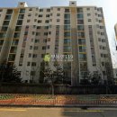 금낭화로23길 이미지