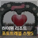 하이원트래블 이미지