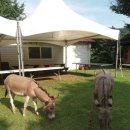 해맞이농장 이미지