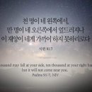 두지 이미지