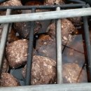 김창기머쉬룸팜 이미지