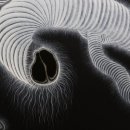 국립아시아문화전당 이미지