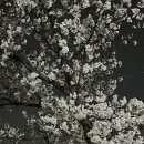 신흥초등학교 정문 이미지