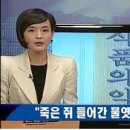 더불어유통 이미지