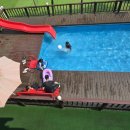 퍼니멍멍 이미지