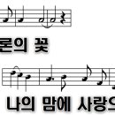 샤론 이미지