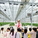 백곡초교 병설유치원 이미지