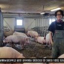 우일농장 이미지