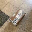 D00640 | 미육스 토즈 로퍼 직구한거 도착했어요! (남편생일선물)