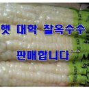 유기농일번지 이미지