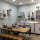 카타리나 스튜디오 이미지