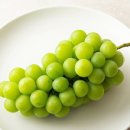 동청도농업협동조합 이미지