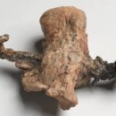 성서고등학교 이미지