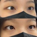 래쉬올린 | [래쉬올린]두류역 속눈썹연장 후기 (속눈썹펌/속눈썹연장)