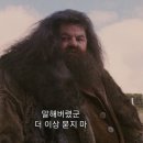 아버헤어트리플 이미지