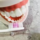 튼튼내이사랑치과의원 이미지