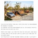 수도권 최대의 규모 도심형 안산 화랑오토캠핑장 재개장 이미지