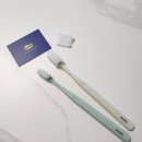 탄력있는모 칫솔 제스타 딥클린 미세모 사용 후기