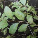 도감행정사사무소 이미지