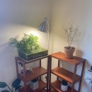 용강동서부시장 버스정류장 이미지