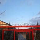 두레로 | 충북혁신도시 카페 아르스 후기 터미널 근처 카페