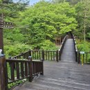 국립황정산자연휴양림캠핑장 이미지