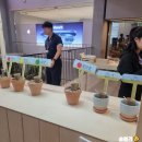 명전 농장 | 홍대가볼만한곳/무료팝업스토어 2024 LCK 사진전 및 감정과수원 t팩토리 홍대데이트코스로 다녀온 후기