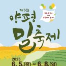 양평 밀축제 일정 프로그램 최신 가이드
