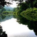 변호사이지언법률사무소 - 서초구 서초대로 272 | 변호사이지언법률사무소