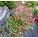 장수자농장 이미지