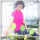 석청농장 이미지