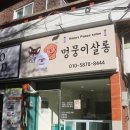멍뭉이네 살롱 이미지