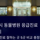 서울베스트동물병원 이미지