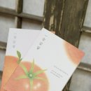 한문서예(입문) | 문해력 높이는 한문필사집 시리즈 -하루 한 글자, 마음을 쓰다