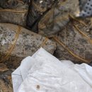 김금안색채갤러리 이미지