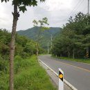 금산가든식당