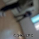 월세사기(?) 당한 유튜버의 황당 결말 이미지