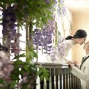 수원-0324 이미지