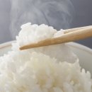 스튜디오잡곡밥 이미지
