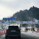 송어축제 이미지