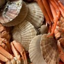 성일수산 이미지