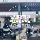 칼빈대학교
