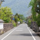 고양이마을 이미지