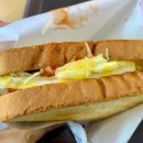 캠토토스트 이미지