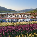 자라섬 주차장 | 가평 자라섬 꽃축제