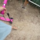 삼문송림길 이미지