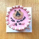 슈비듀밥 이미지