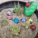 선돌촌마을 이미지