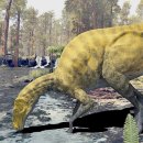 공룡발톱 이미지